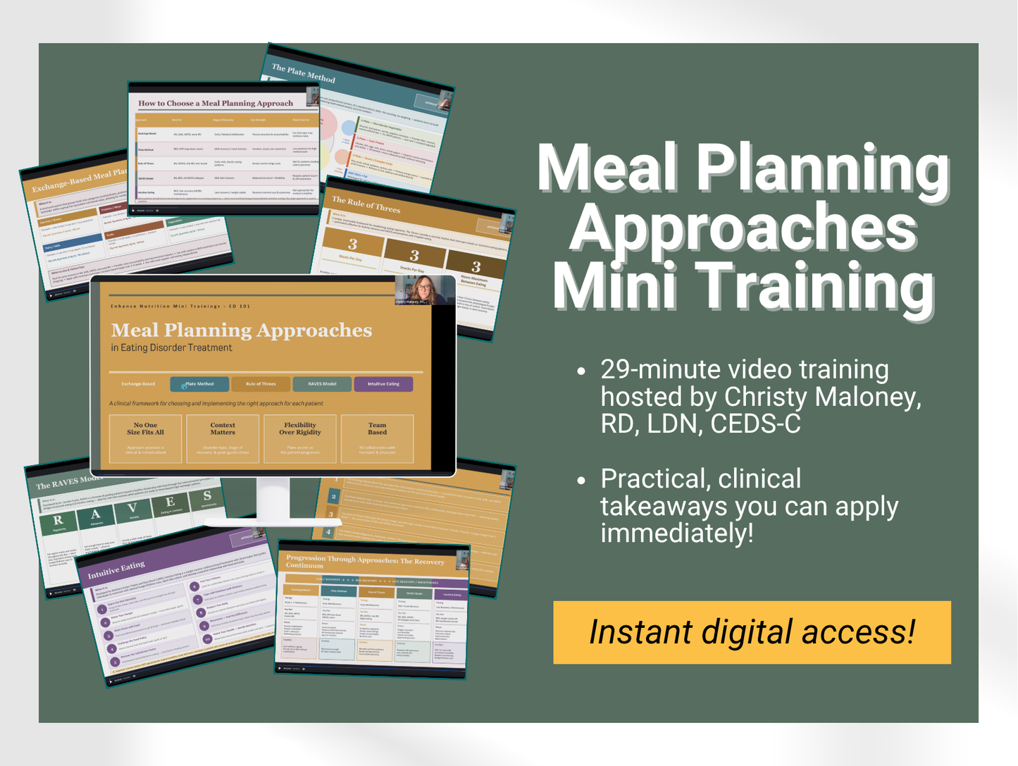 Nutrition 101 for Eating Disorders: Meal Planning Approaches Mini Training
